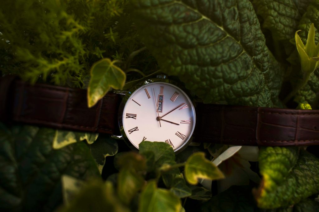 Watch Movements